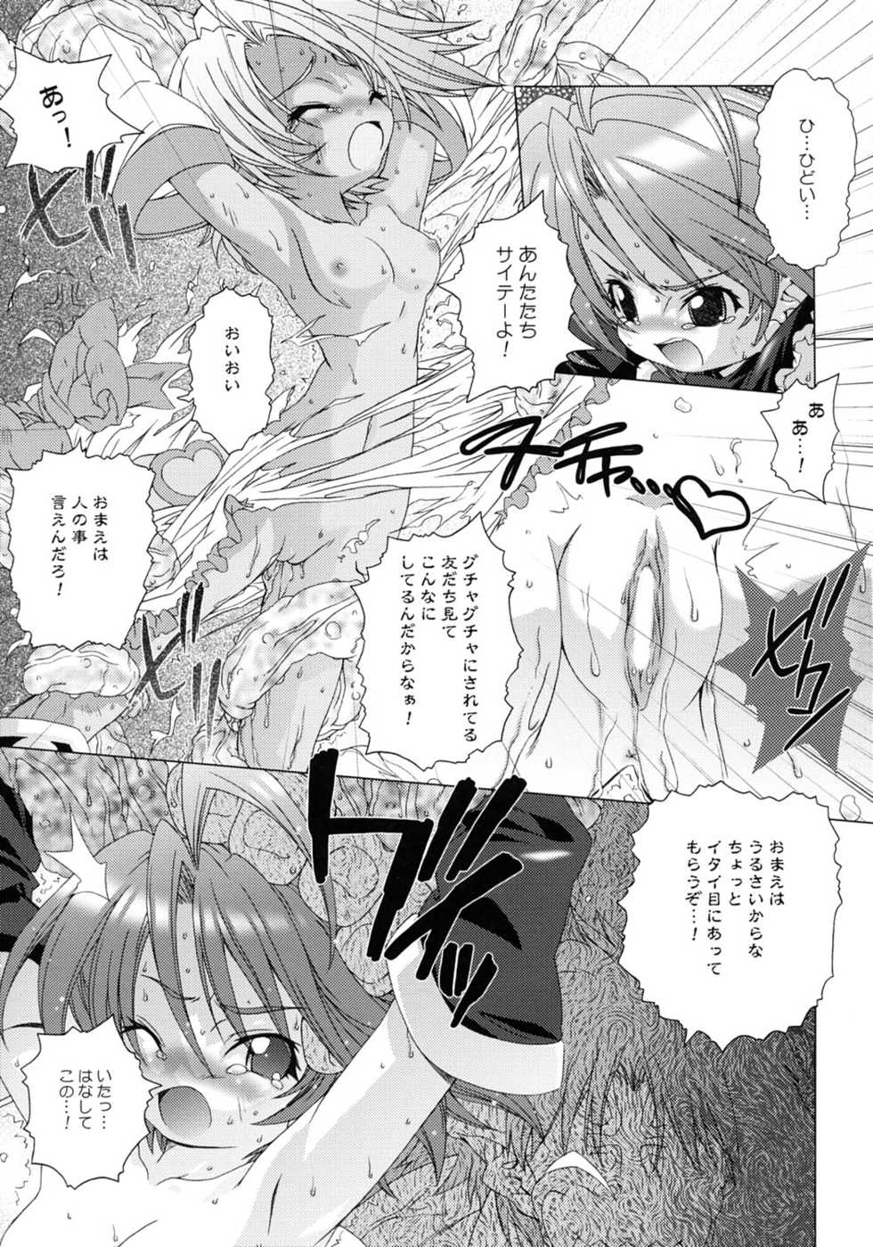 (C67) [DiGiEL (Yoshinaga Eikichi)] BlanBrulee (Futari wa Precure) - Page 14