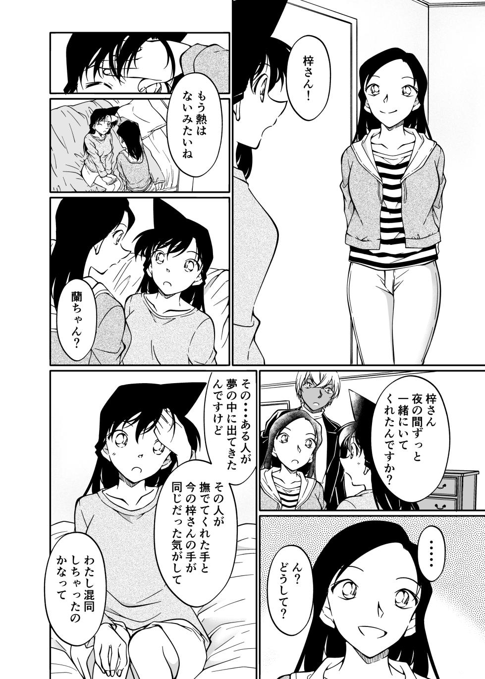 [mysteryfarm (Shiroyagi)] Yumeda to Itsuwatte (Detective Conan) - Page 29