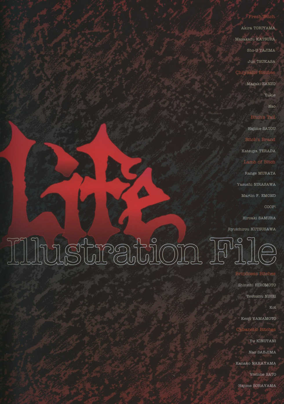 [Nirasawa Yasushi (Various)] Bitch's Life - Page 8