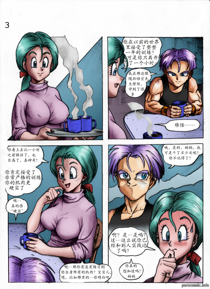 [Pandoras Box] Kamehasutra 2_ Timeless Lust (Dragon Ball Z)（Chinese）个人汉化 - Page 3
