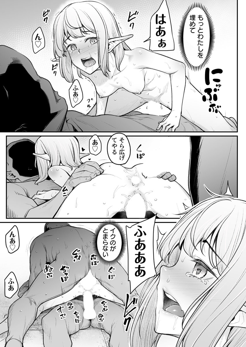 [Area14 (Kasei)] Ecchi na Elf to no Kurashikata Vol. 6 ~Biyaku de Zenshin Seikantai!? Hokori Takaki Shuzoku no Chitai~ [Digital] - Page 25