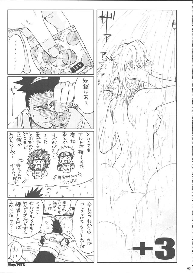 (SC28) [PETS (rin, kuro, may)] +3 (Naruto) - Page 5