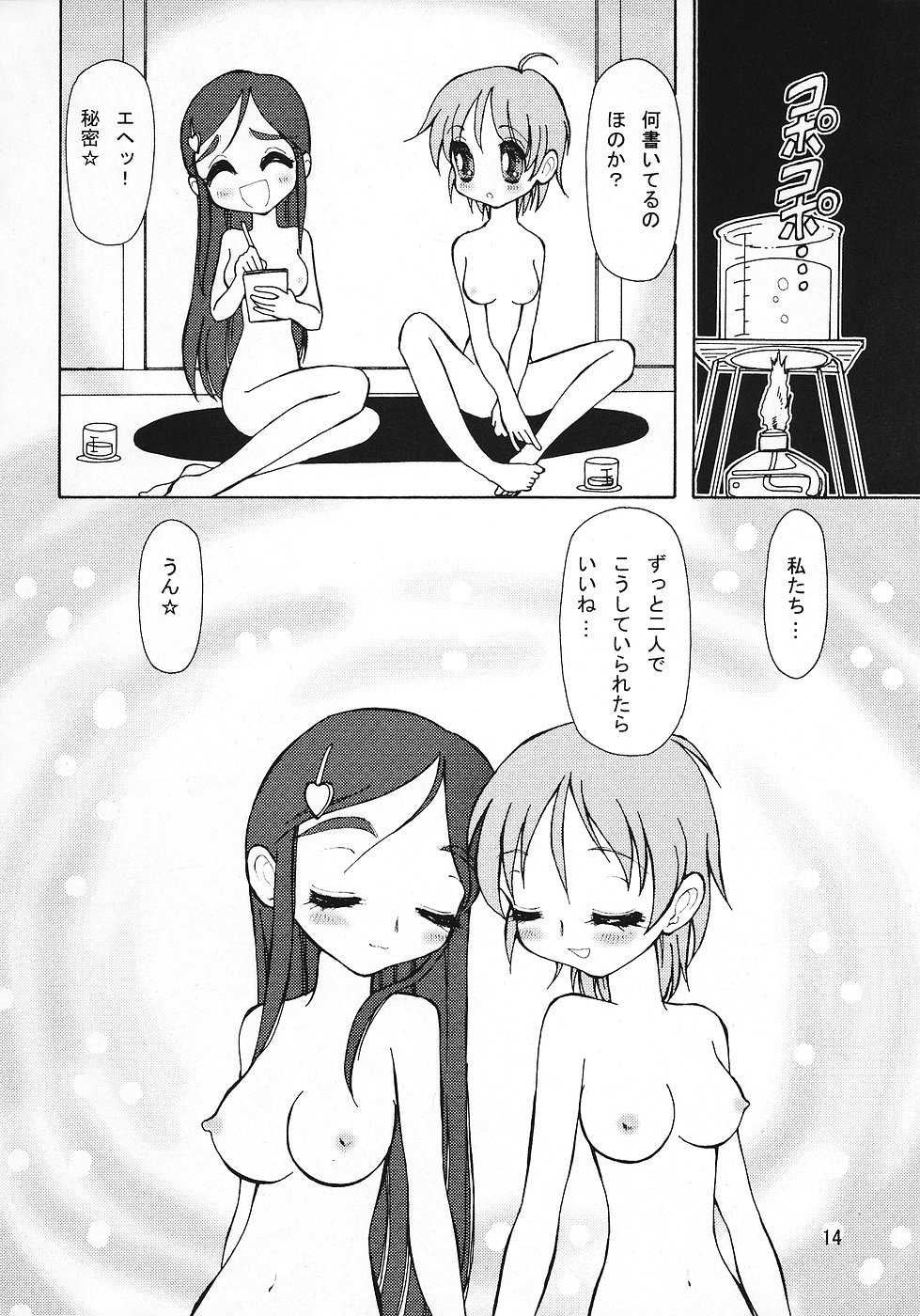 (C67) [Ryuurei Tennyo (Mizutani Hitomi)] Sexual Max Heart!! (Futari wa Precure Max Heart) - Page 13