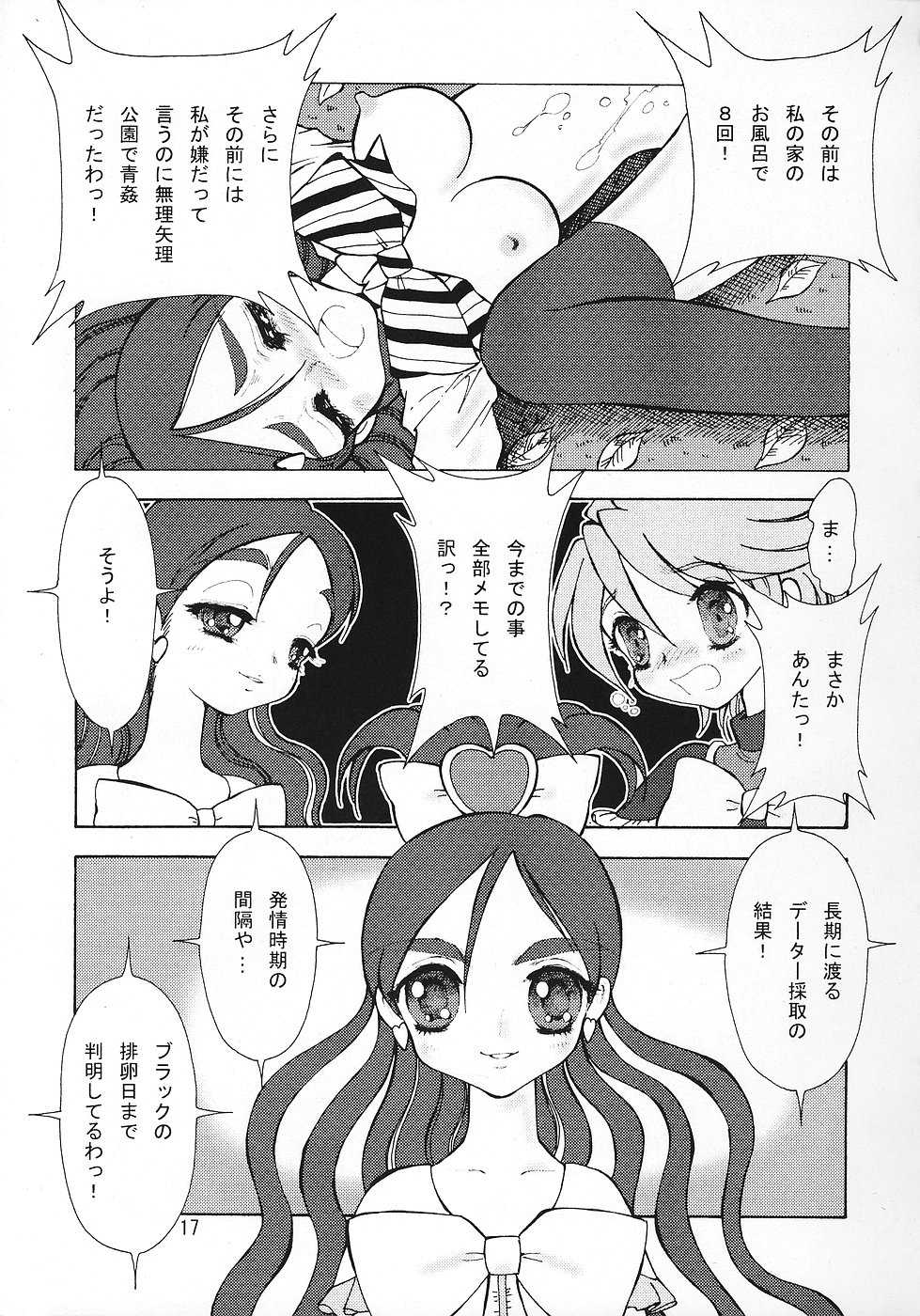 (C67) [Ryuurei Tennyo (Mizutani Hitomi)] Sexual Max Heart!! (Futari wa Precure Max Heart) - Page 16