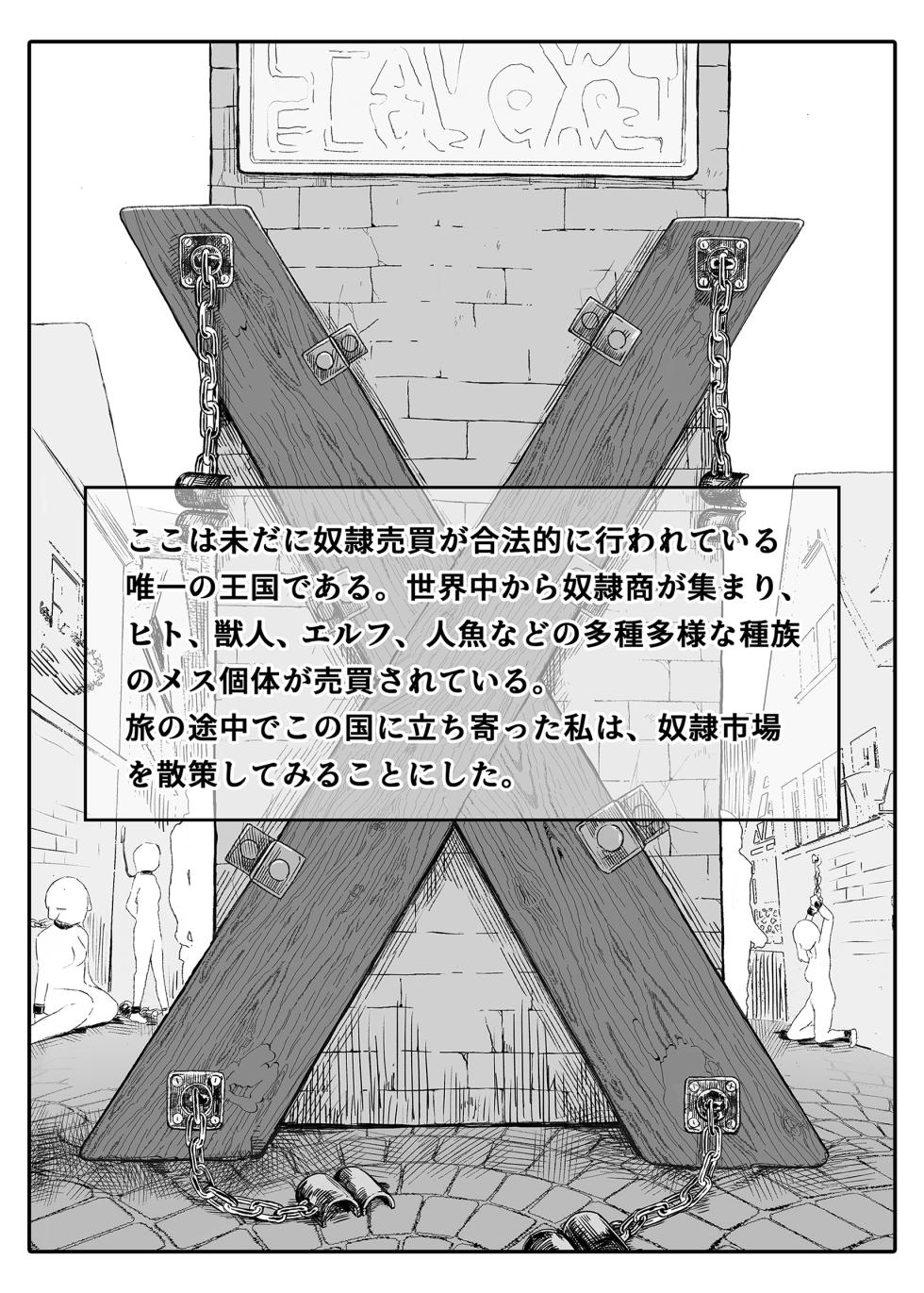 [Iwaku Waku] Isekai Dorei Shijou ni Ittemita. | Slave Market Stroll [Japanese, English] - Page 2