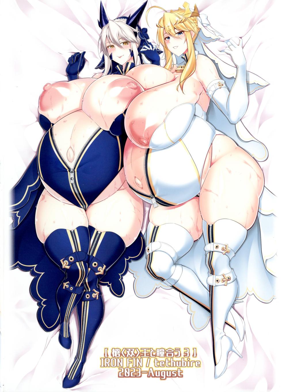 (C102) [IRON FIN (Tethubire)] Yari Ou to Hitomi Au III (Fate/Grand Order) - Page 2