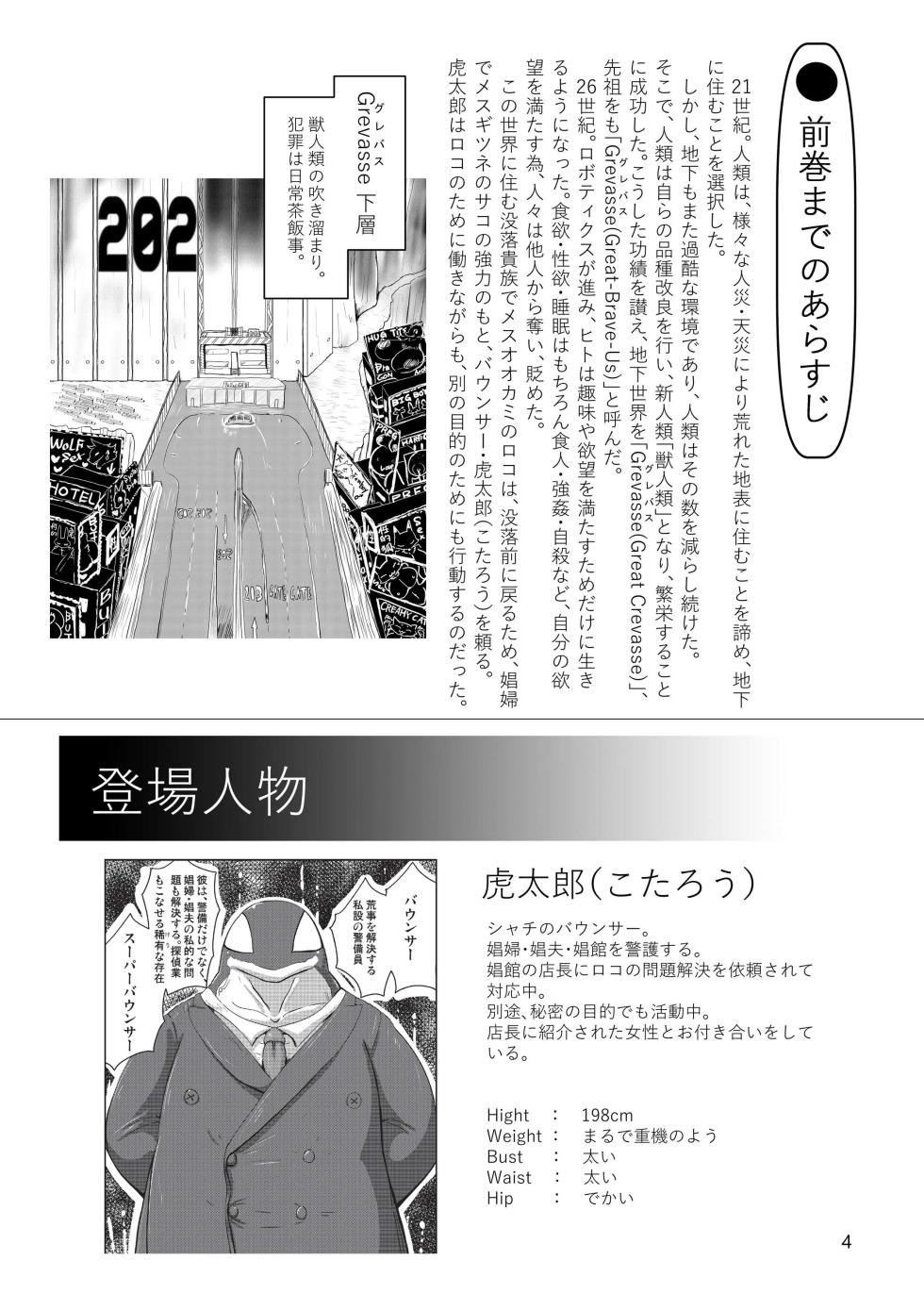 (Kemoket 14) [CoCoLoCo Note (Cocolog)] the Dream - Page 3