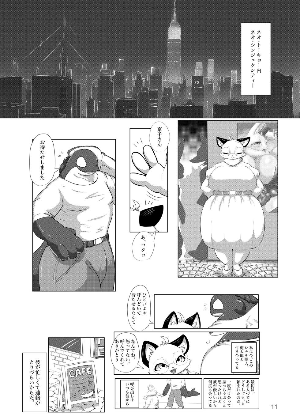 (Kemoket 14) [CoCoLoCo Note (Cocolog)] the Dream - Page 10