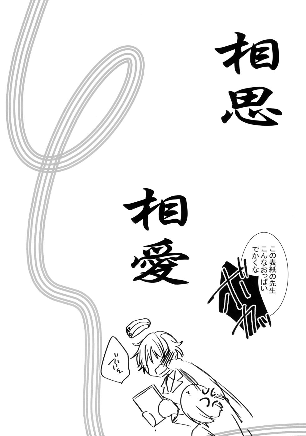 (C102) [Pikopikotei (Inoue Mitan)] Soushisouai (Brave Witches) - Page 3