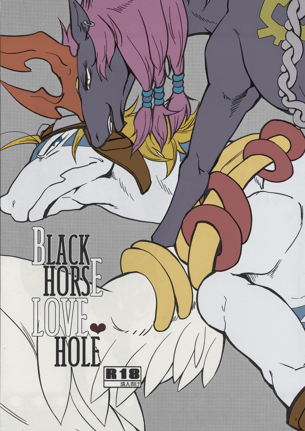 (C80) [Kimidori (Various)] Black Horse Love Hole (Legendz: Tale of the Dragon Kings) [English] [Decensored] [Colorized] - Page 2