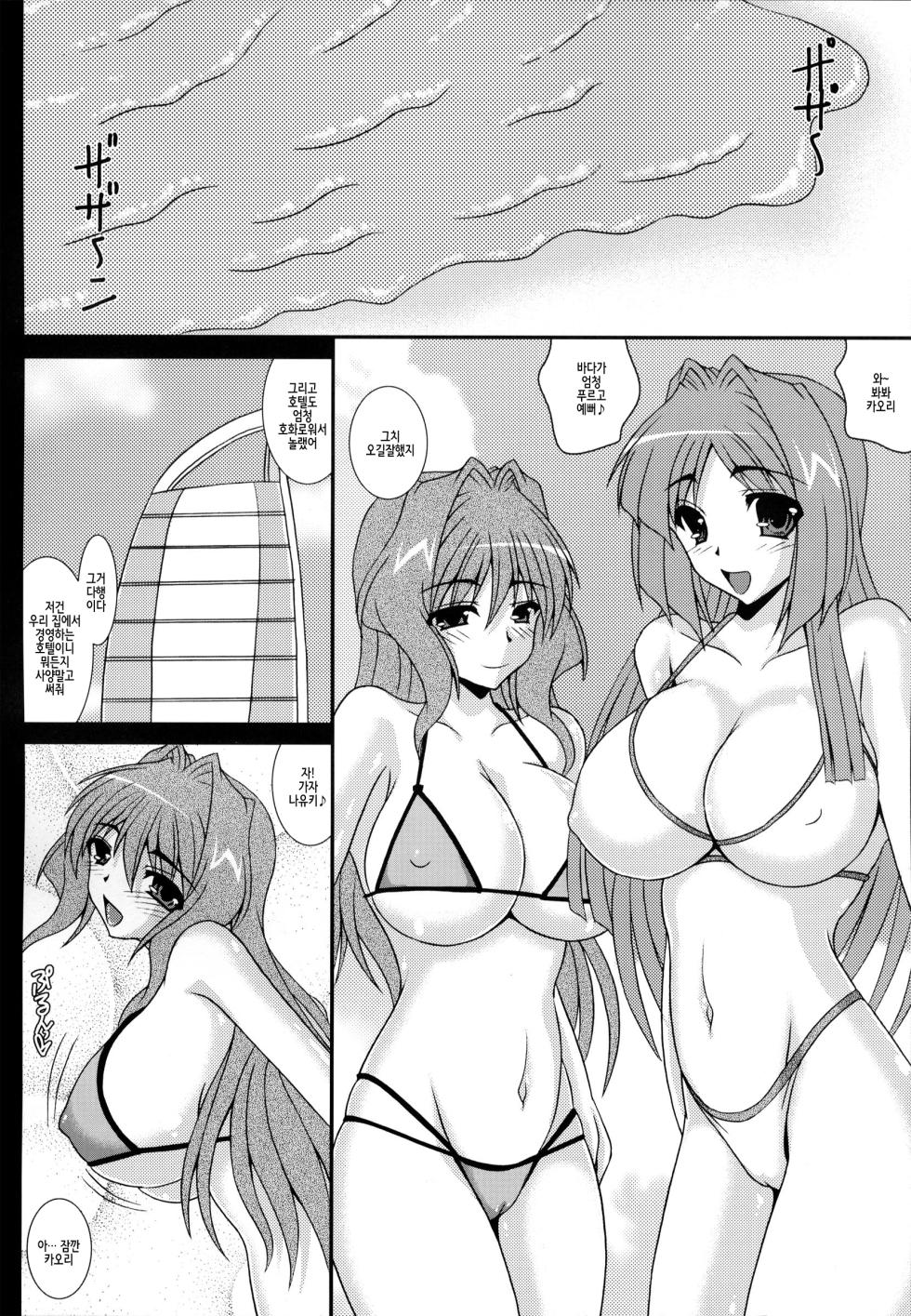 (C83) [Kirei na Oneesan (Izumi Yayoi)] Aikagi - Ubawareta Osananajimi (Kanon) [Korean] - Page 11