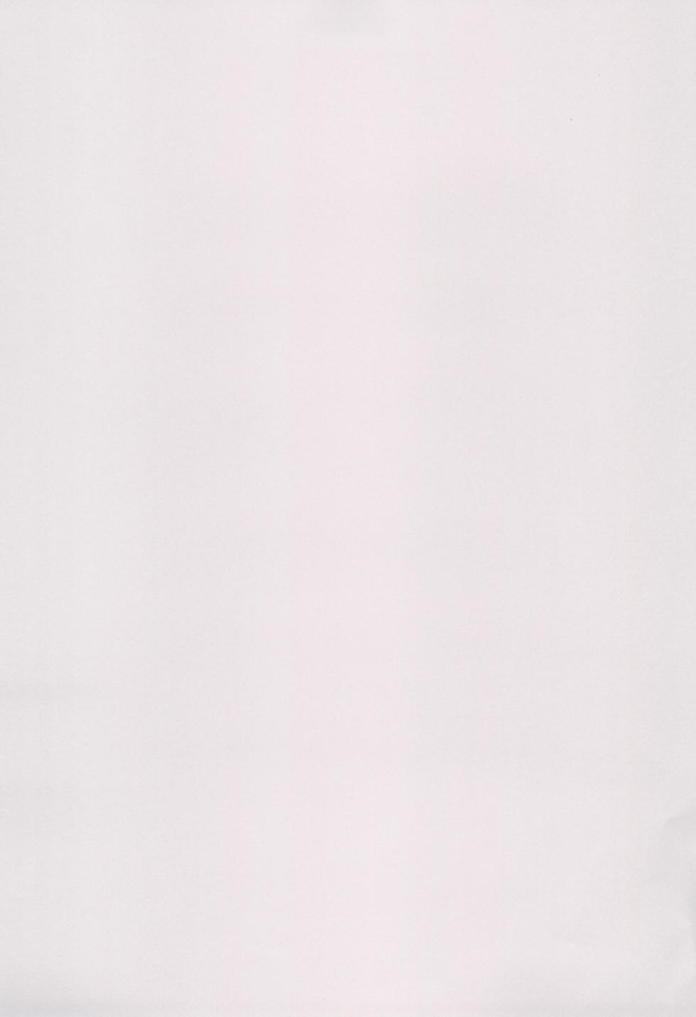 (C102) [Nazunasoft (Katsura Harufumi)] Musashi-chan to Himitsu no Nettaiya (Fate/Grand Order) - Page 3