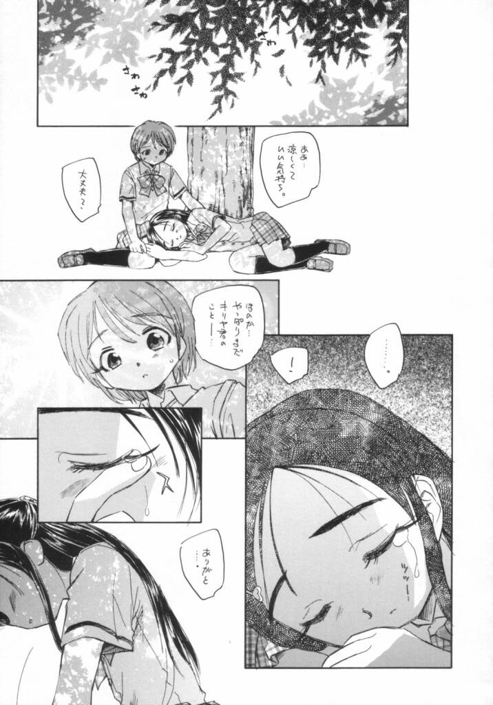 (C66) [Kuroshikatei (Unno Hotaru)] precure dakara hinnyuu bon (Futari wa Precure) - Page 12