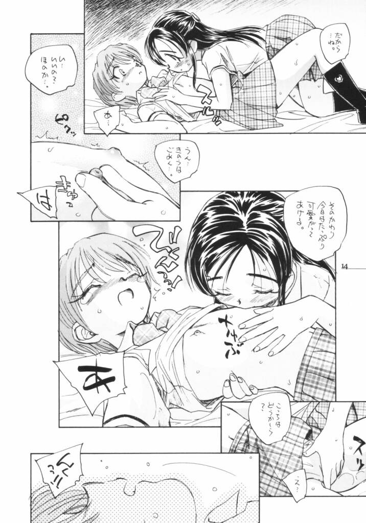 (C66) [Kuroshikatei (Unno Hotaru)] precure dakara hinnyuu bon (Futari wa Precure) - Page 15