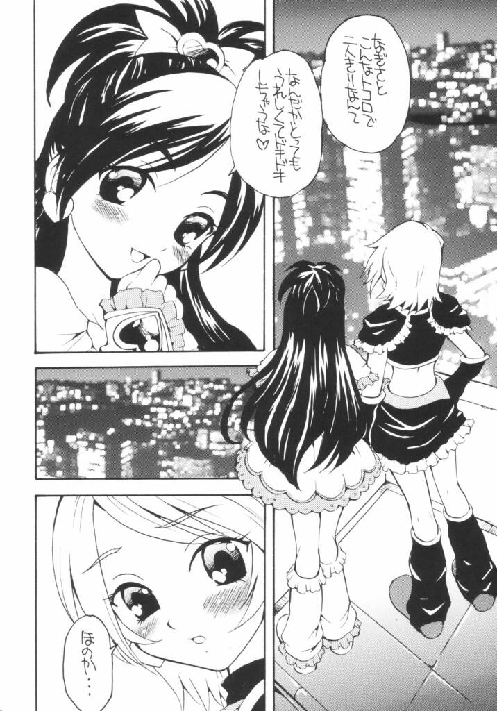 (Puniket 9) [Marchen Box (Various)] Two Toned Romps (Pretty Cure) - Page 19