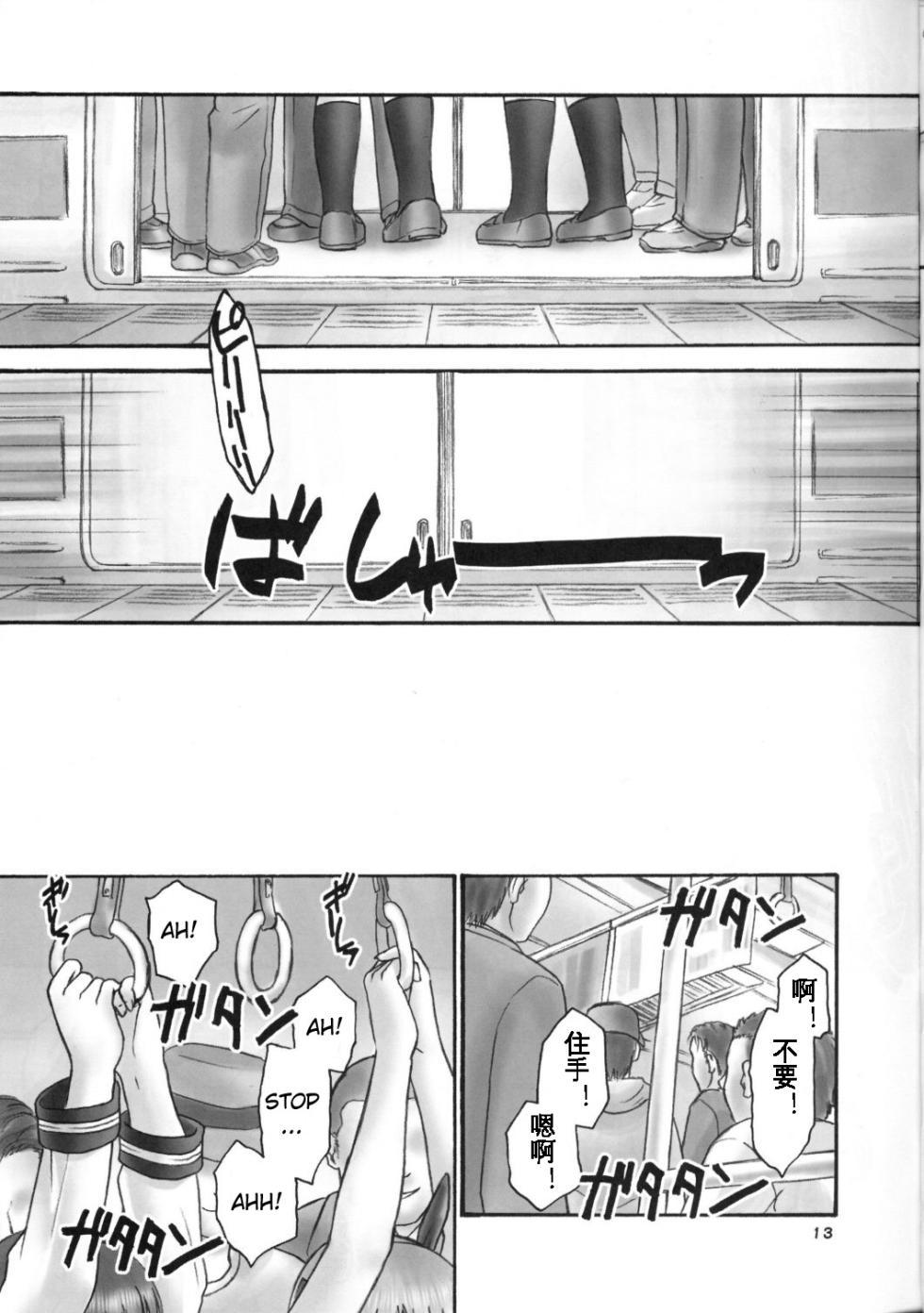(C67) [Hellabunna (Iruma Kamiri)] experiments.02 (orz.) (Dead or Alive) [Chinese] [KOKORO个人汉化] - Page 13