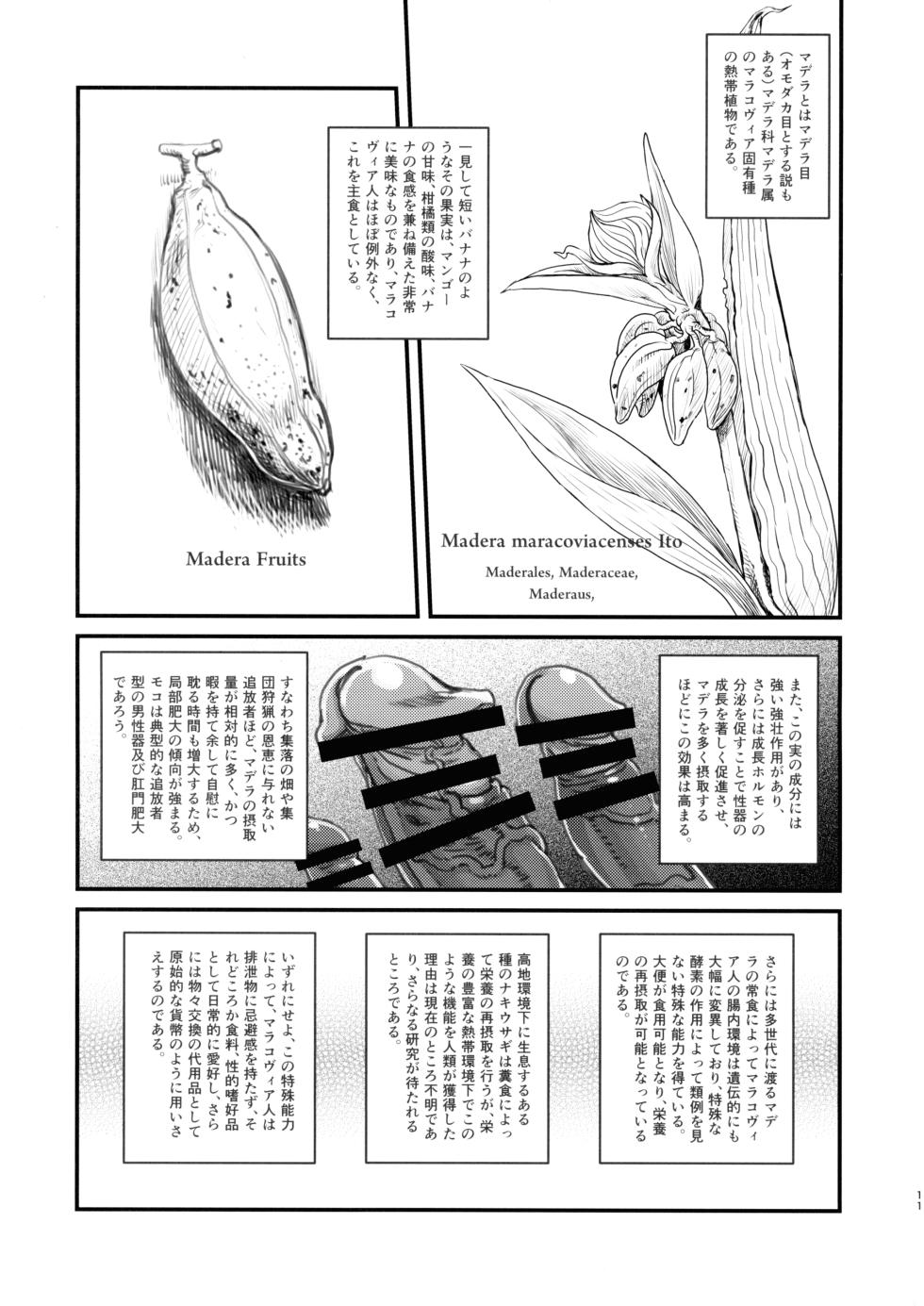 (C102) [Kakumei Seifu Kouhoushitsu (Various)] Dankon no Ethnography - Marakovia no Sei to Haishoku - - Page 10