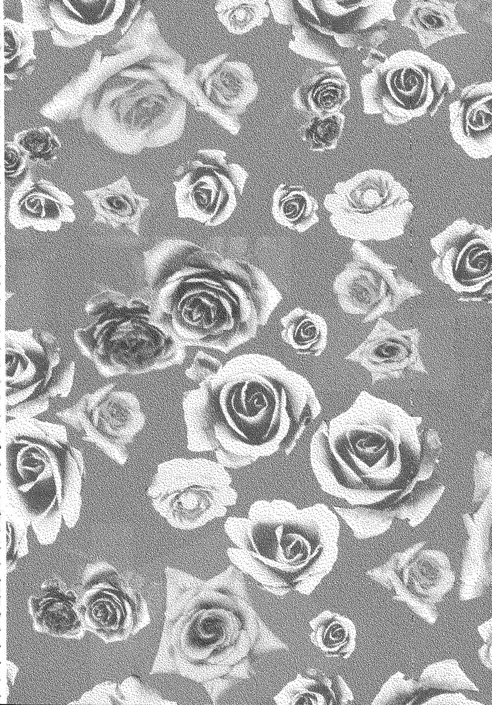 (C83) [Pocket Drop (Nekono Renge)] Later Years (Pokemon Mystery Dungeon) (Chinese)  [normale_个人汉化] - Page 3