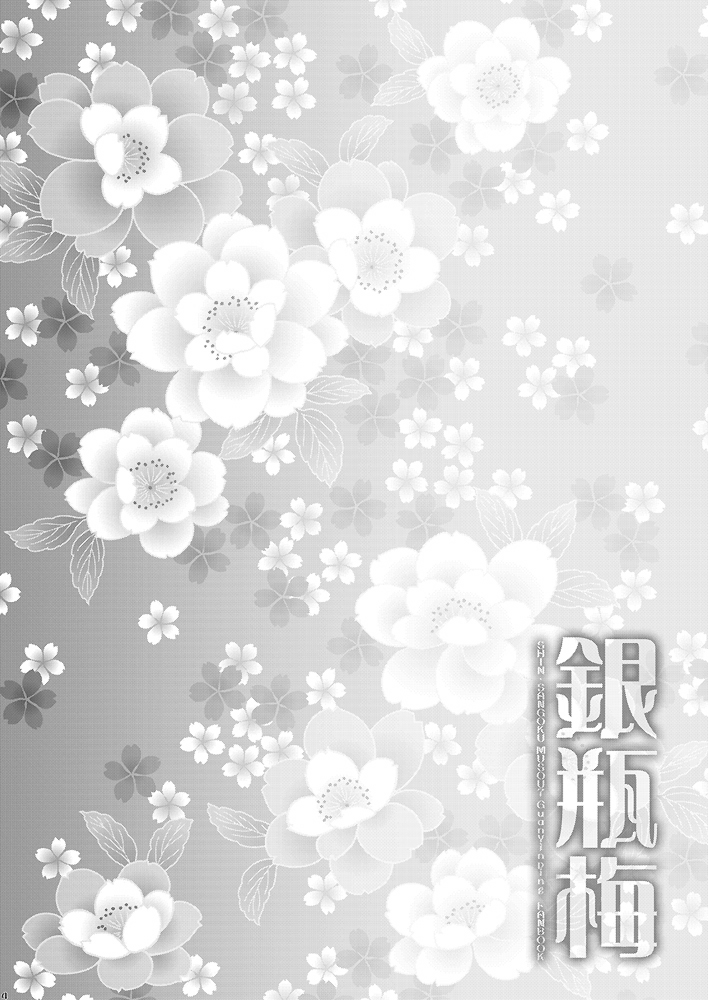 (C86) [H.A.O (Tom)] Yin Ping Mei・○pei no Seisaiyodatsu (Shin Sangoku Musou) - Page 2