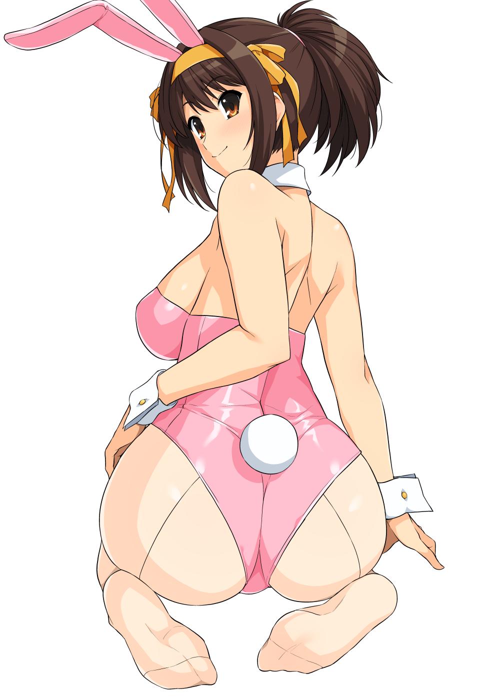 [Haruhisky] Bunny Haruhi-san + Seishori-you Akari-chan (Suzumiya Haruhi no Yuuutsu, VOICEROID) - Page 1