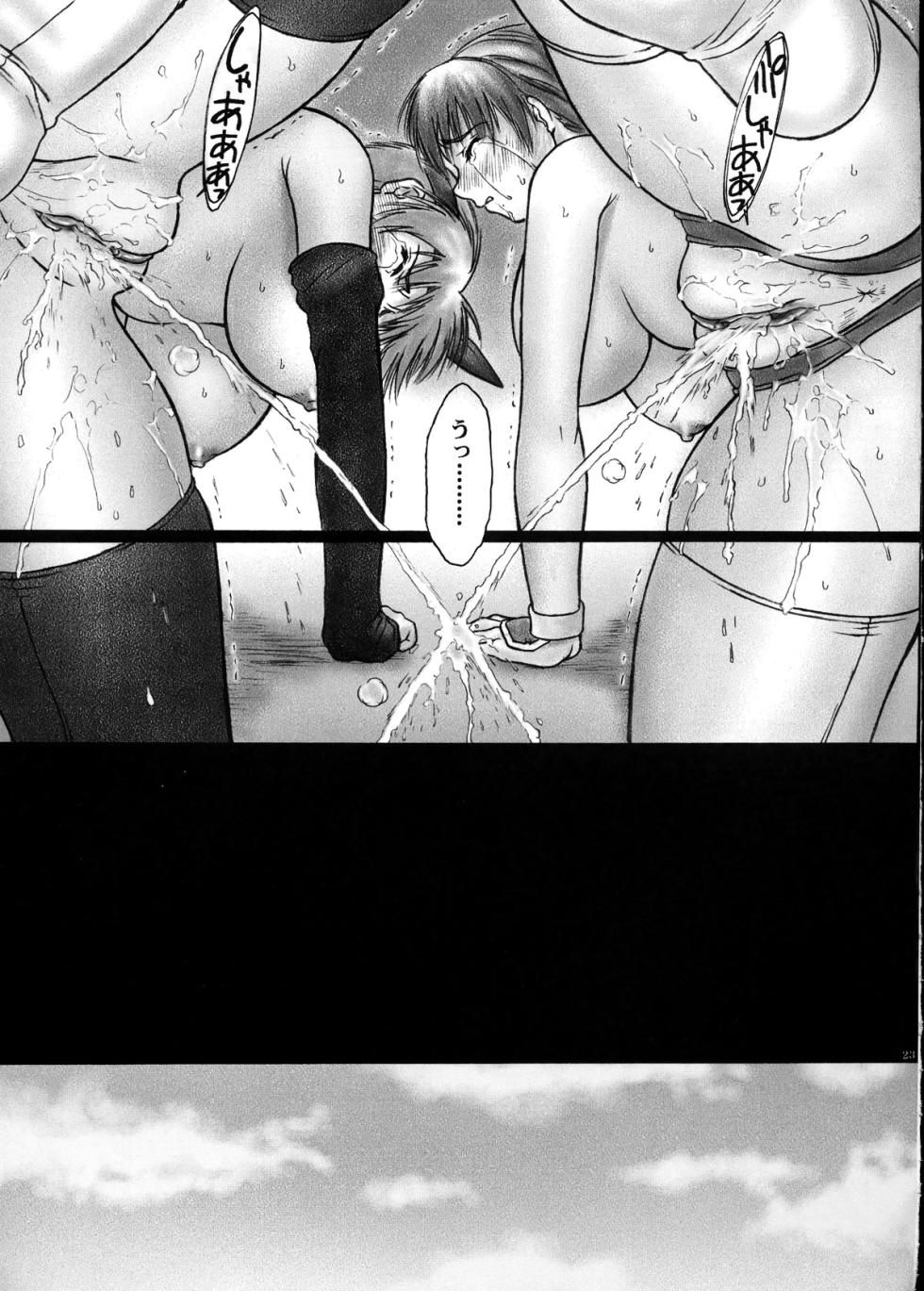 (C64) [Hellabunna (Iruma Kamiri)] INU/incident (Dead or Alive) [Decensored] - Page 22