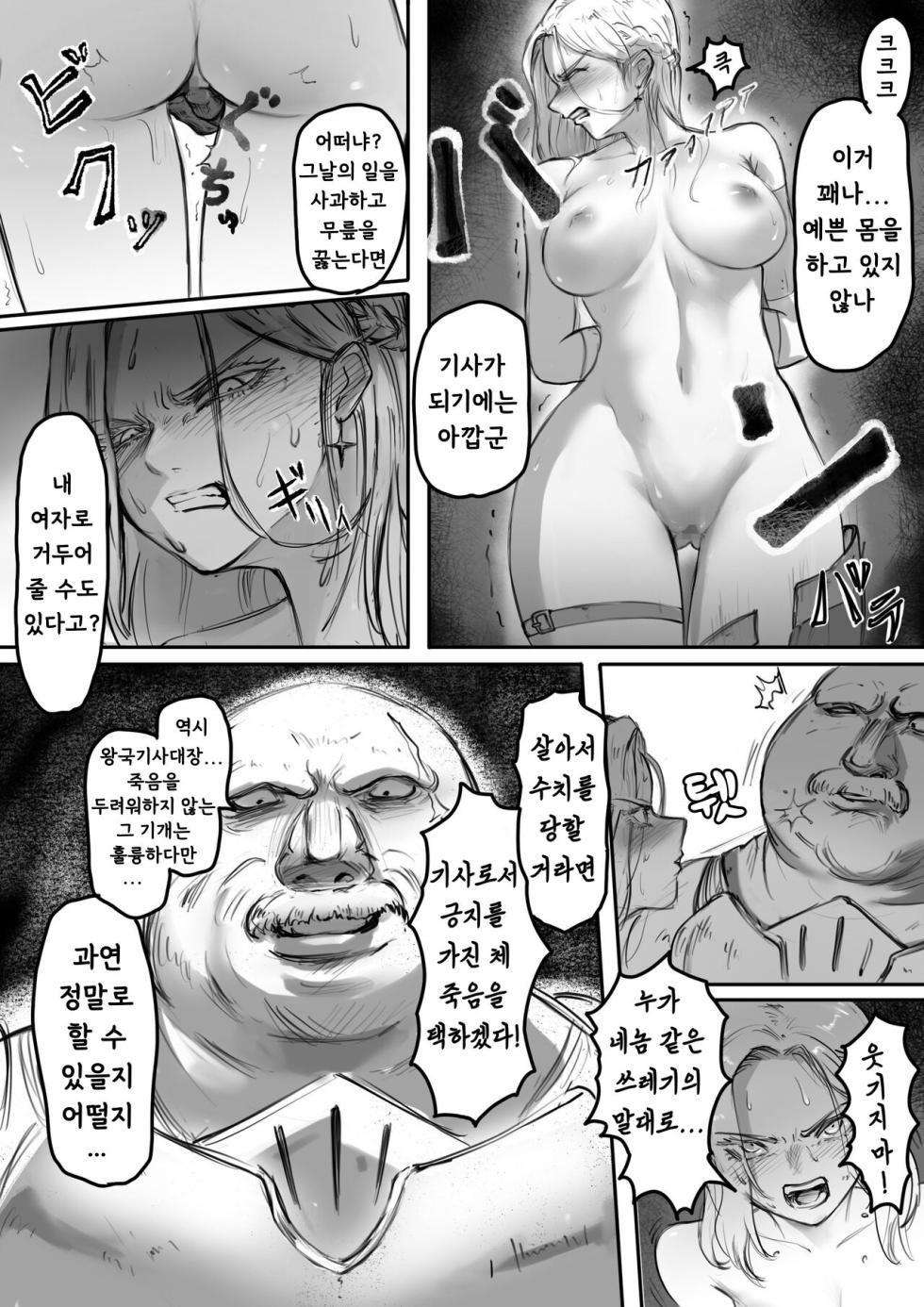 [Ibitsu na Circle (Ibitsu Sugiru)] Kishi no Hokori wa Nakusanai [korean] - Page 5