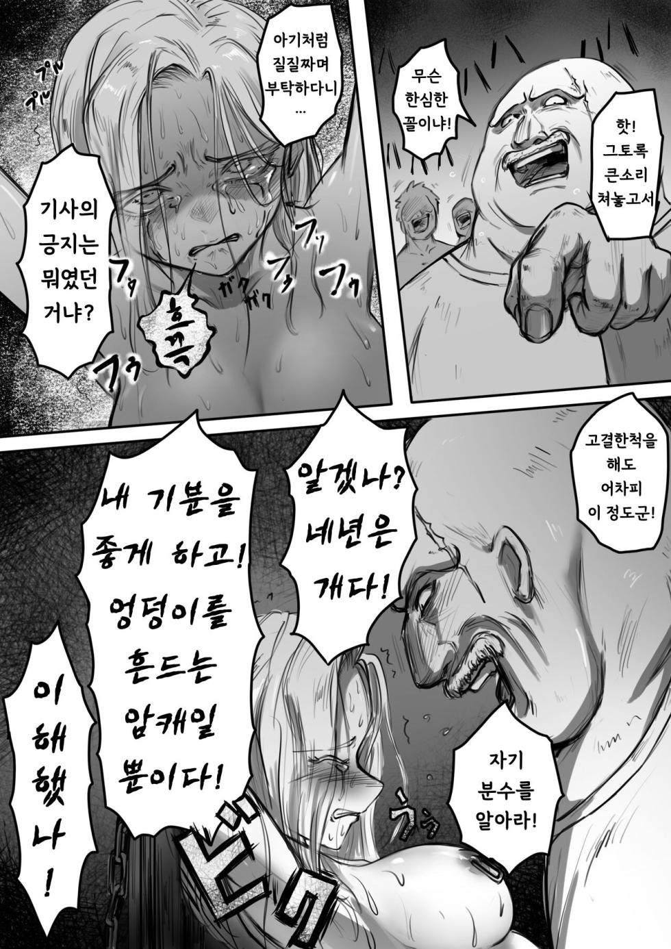 [Ibitsu na Circle (Ibitsu Sugiru)] Kishi no Hokori wa Nakusanai [korean] - Page 20