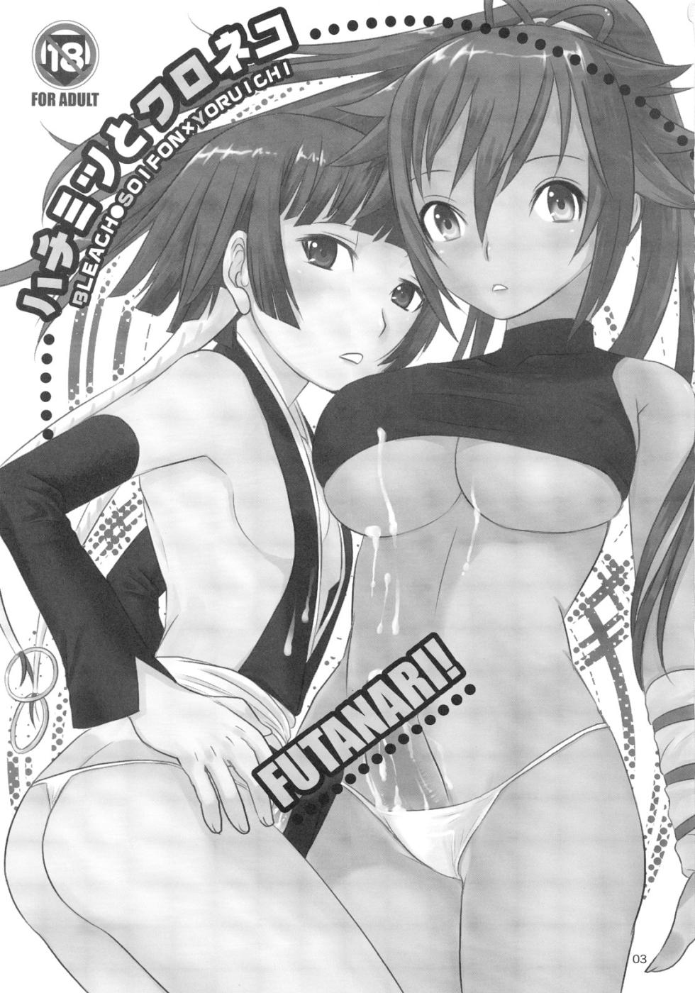 (C72) [Chika Sekai (Palco Nagashima)] Hachimitsu to Kuroneko (Bleach) [Portuguese-BR] - Page 2