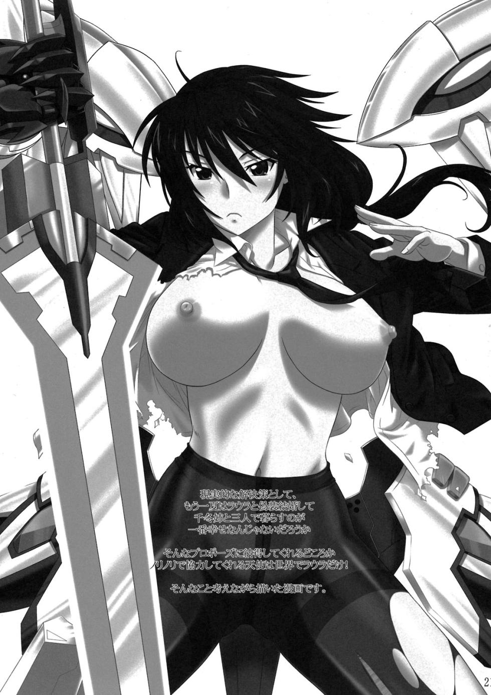 (C80) [CAZA MAYOR (Tsutsumi Akari)] is Incest Strategy (IS <Infinite Stratos>) [French] {SAXtrad} [Decensored] - Page 21