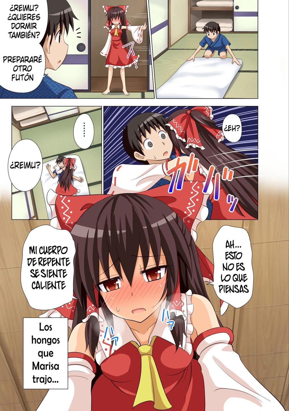 [Kamikadou (Ginyou Haru)] Gensoukyou Rakuenka Keikaku 10 (Touhou Project) [Spanish] [Digital] - Page 6