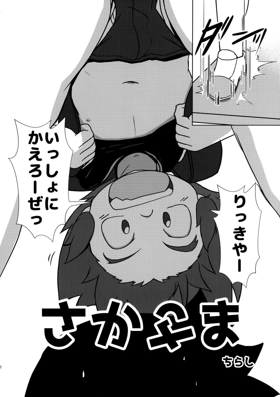 (C96) [salt sel salz (Various)] Mix!! (Genki Bakuhatsu Ganbaruger) - Page 13