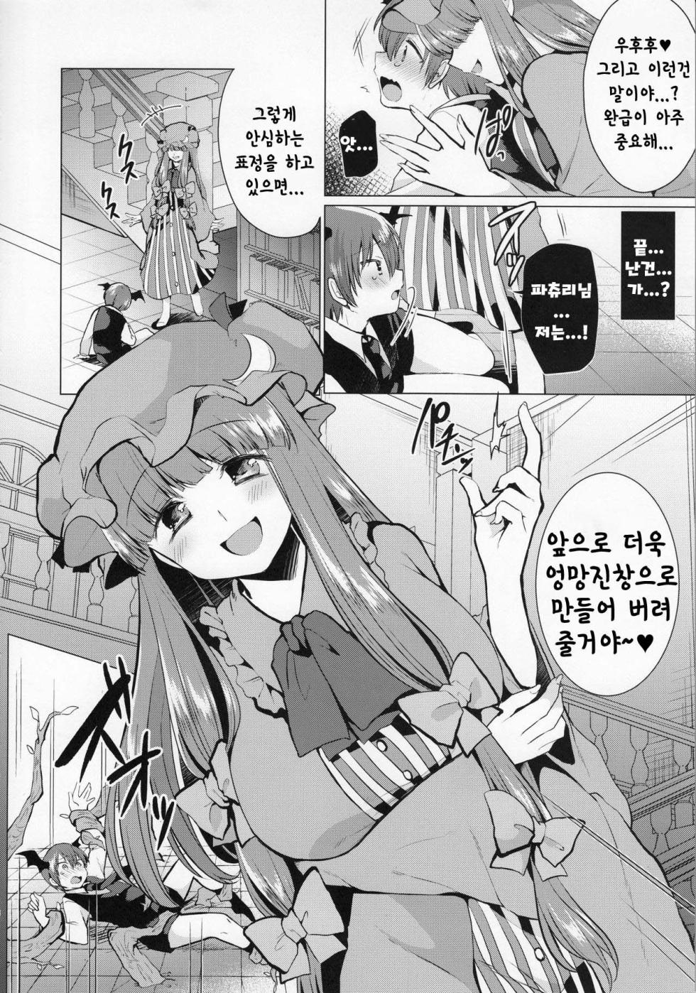 (Reitaisai 14) [Berry!16 (Mori Guruta)] Kusuguri Ijiwaru Patchouli-sama | 간지럽혀서 꾸짖는 파츄리님 (Touhou Project) [Korean] - Page 7