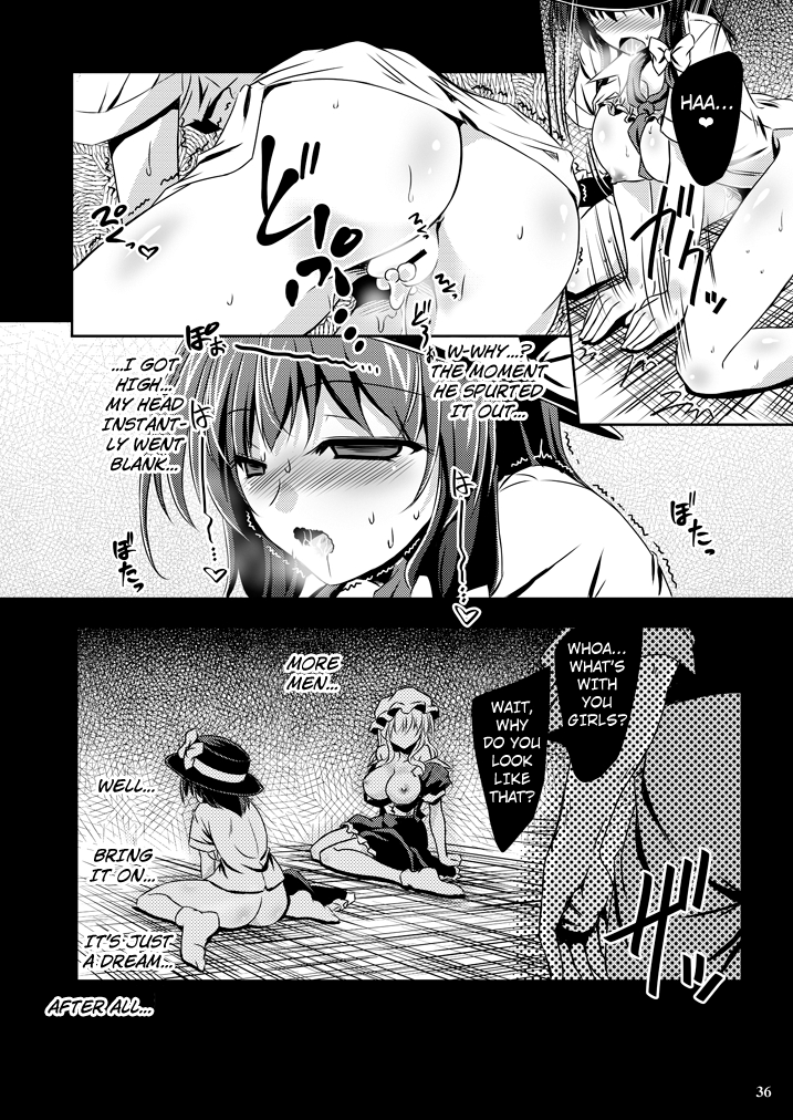 [Reverse Noise (Yamu)] Yume to Utsutsu no Kyoukai de | At the Border between Dreams and Reality (Touhou Project) [English] [Kuraudo] [Digital] - Page 35