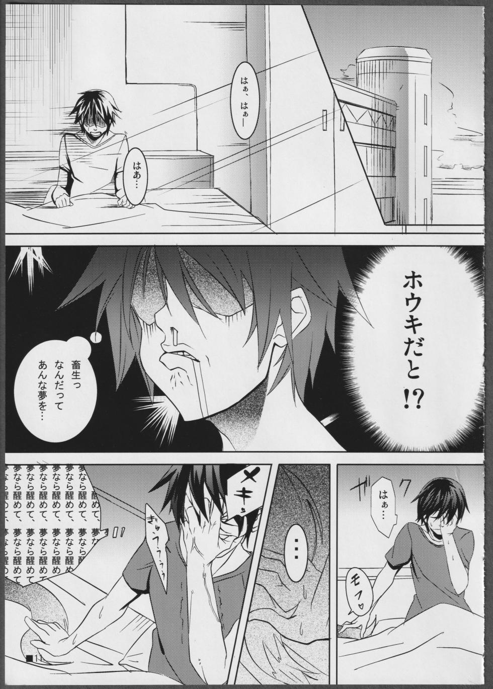 (C81) [STRAY SHEEP (Mino Inomi)] Nohohon-san no Hon #01 (IS <Infinite Stratos>) - Page 11