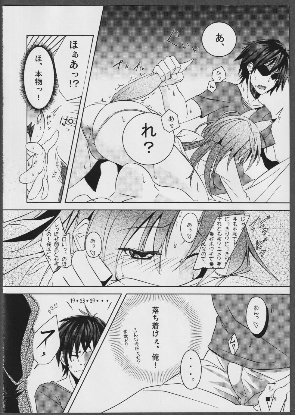 (C81) [STRAY SHEEP (Mino Inomi)] Nohohon-san no Hon #01 (IS <Infinite Stratos>) - Page 14