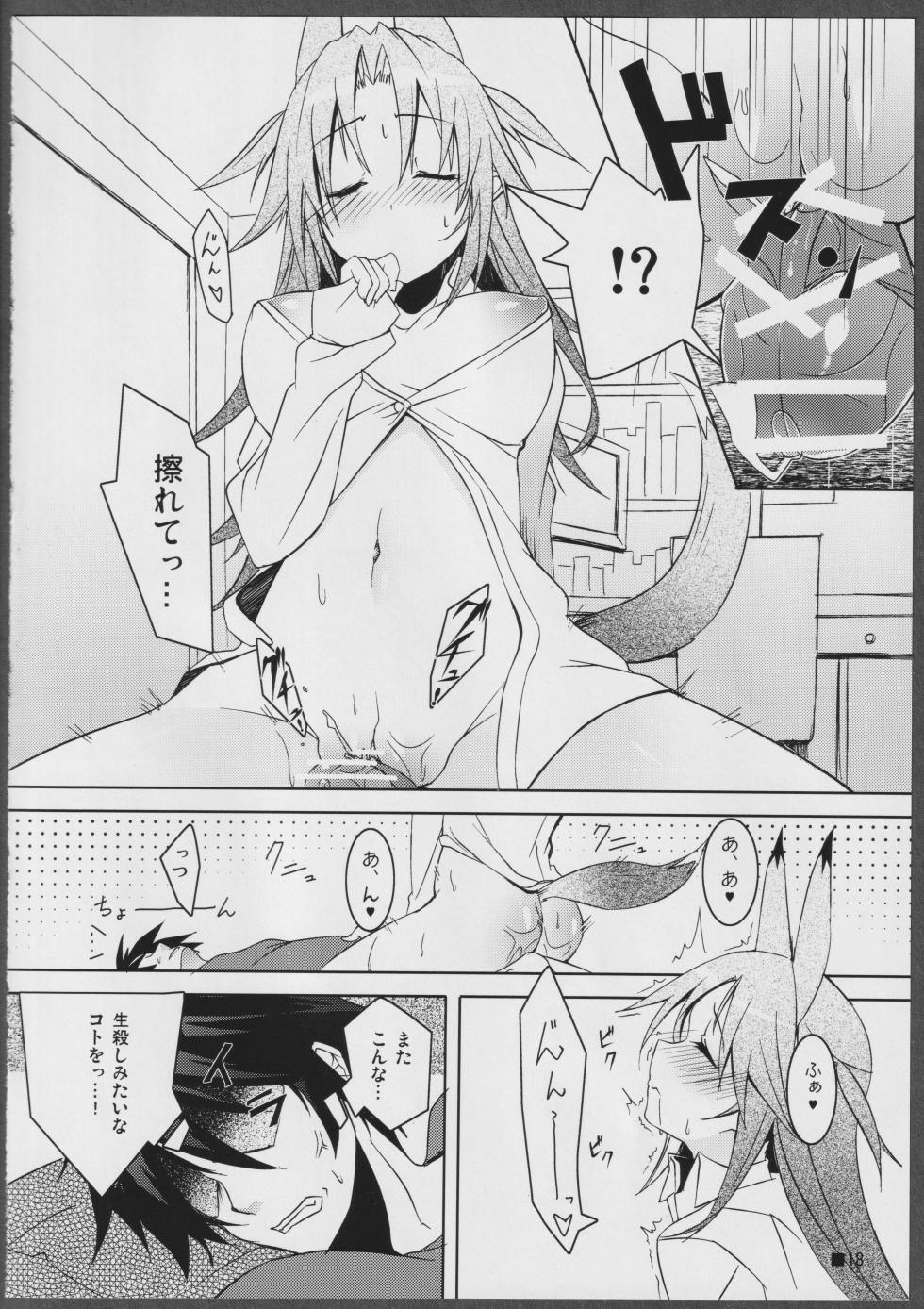 (C81) [STRAY SHEEP (Mino Inomi)] Nohohon-san no Hon #01 (IS <Infinite Stratos>) - Page 18