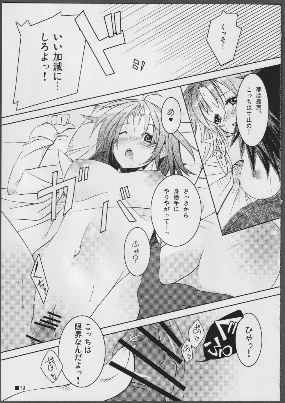 (C81) [STRAY SHEEP (Mino Inomi)] Nohohon-san no Hon #01 (IS <Infinite Stratos>) - Page 19