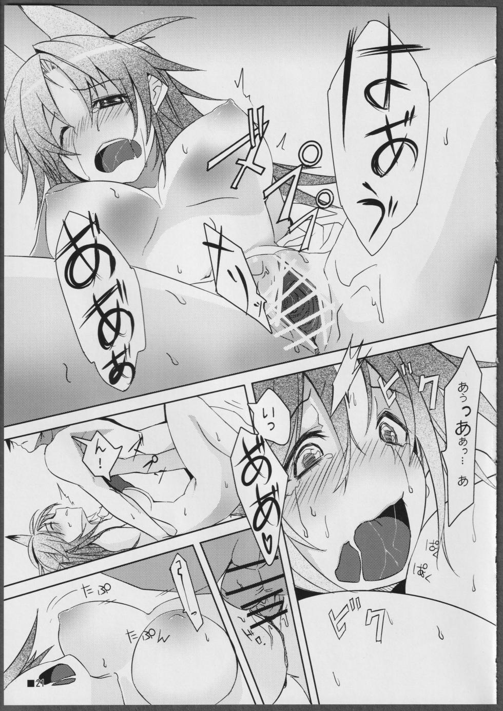 (C81) [STRAY SHEEP (Mino Inomi)] Nohohon-san no Hon #01 (IS <Infinite Stratos>) - Page 21