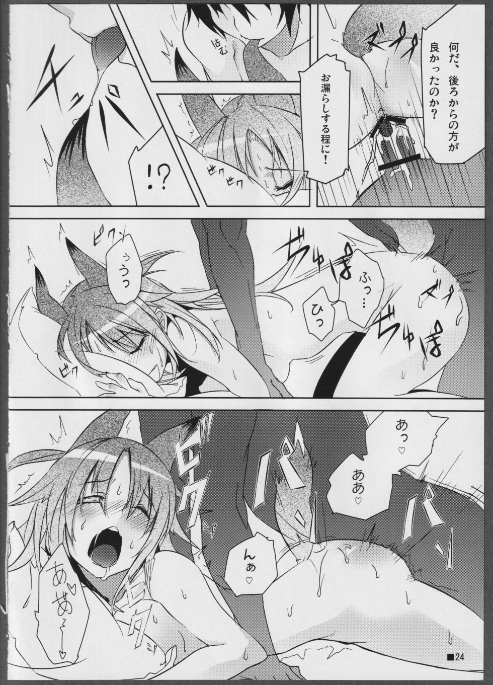 (C81) [STRAY SHEEP (Mino Inomi)] Nohohon-san no Hon #01 (IS <Infinite Stratos>) - Page 24