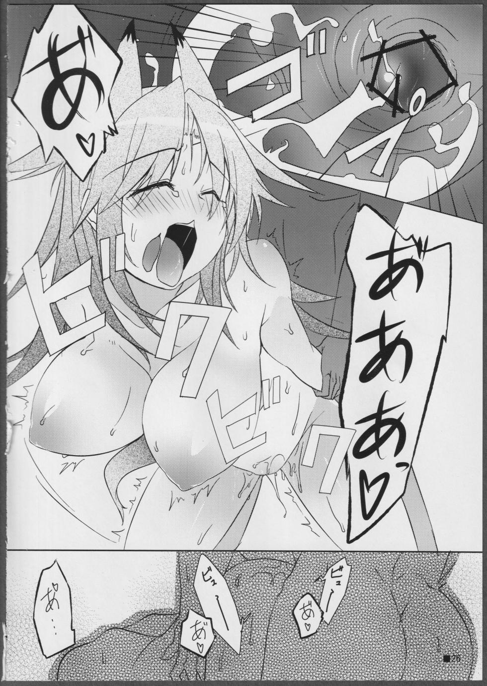 (C81) [STRAY SHEEP (Mino Inomi)] Nohohon-san no Hon #01 (IS <Infinite Stratos>) - Page 26