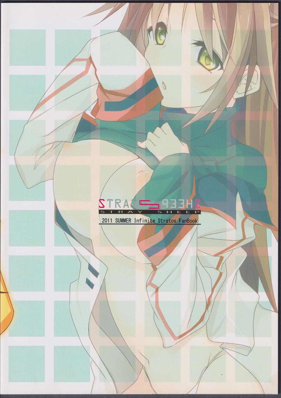 (C81) [STRAY SHEEP (Mino Inomi)] Nohohon-san no Hon #01 (IS <Infinite Stratos>) - Page 31