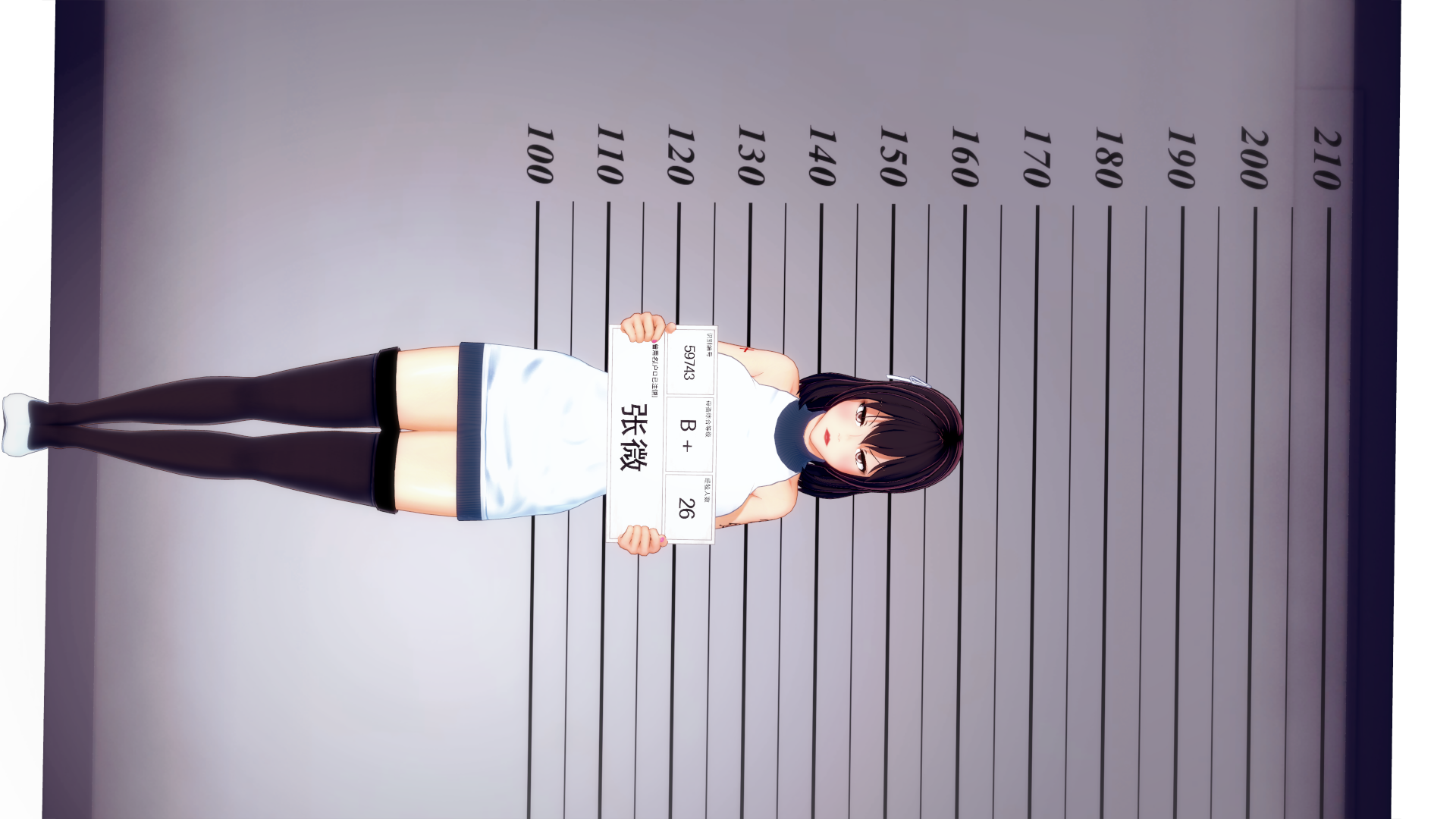 涉嫌诬陷敲诈勒索钱财为目的，AI判定剥夺人权[CN/EN/JP/KR👇🏻] - Page 11