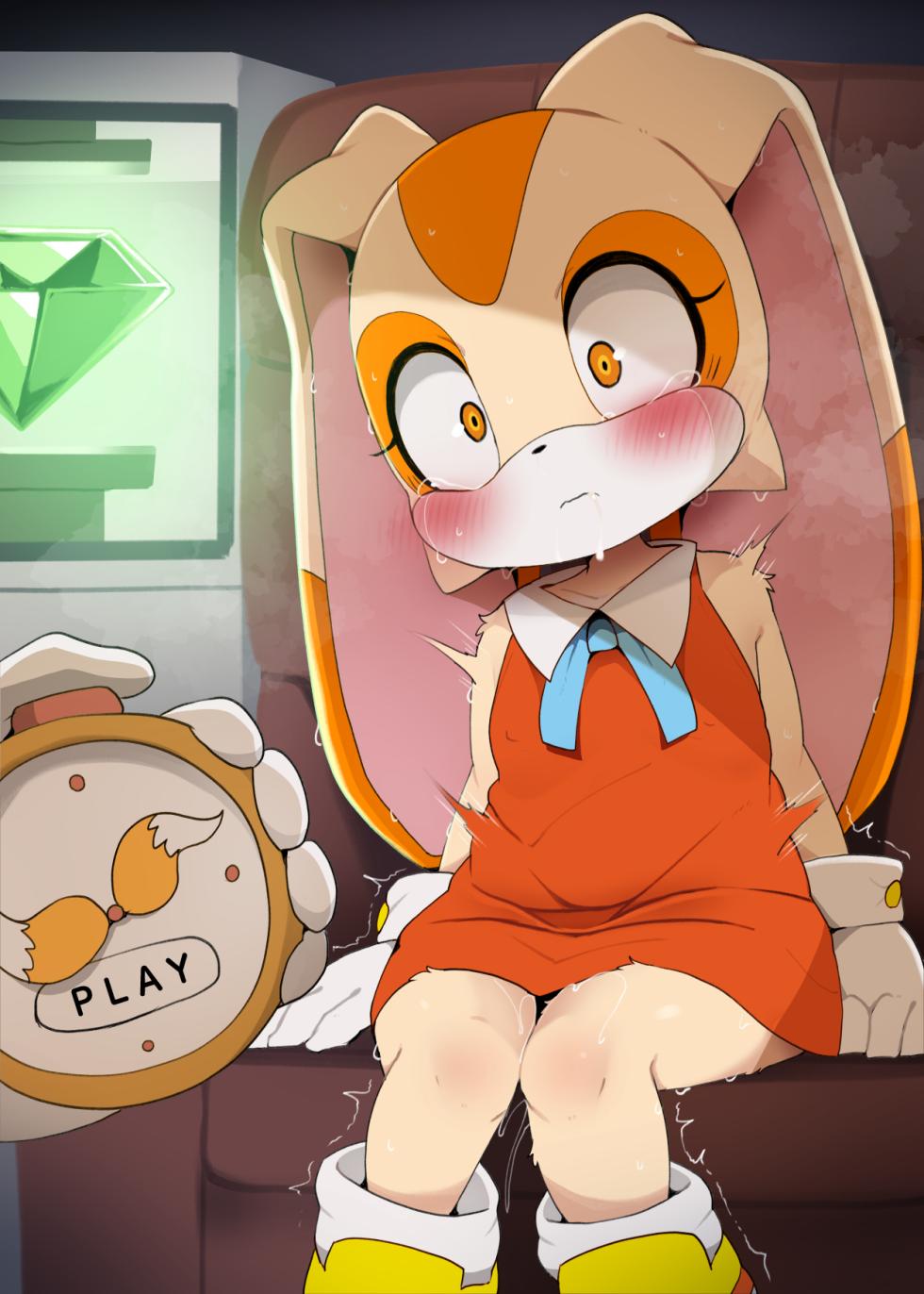 [DAGASI] Chaos Control Souchi (Sonic the Hedgehog) - Page 12