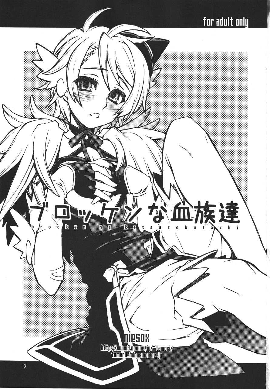 (COMIC1☆4) [niesox (Tamori Tadaji)] Broken na Ketsuzoku-tachi (Brocken Blood) - Page 2