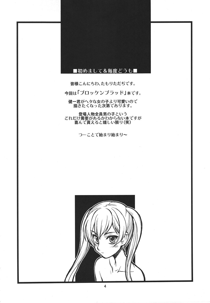 (COMIC1☆4) [niesox (Tamori Tadaji)] Broken na Ketsuzoku-tachi (Brocken Blood) - Page 3