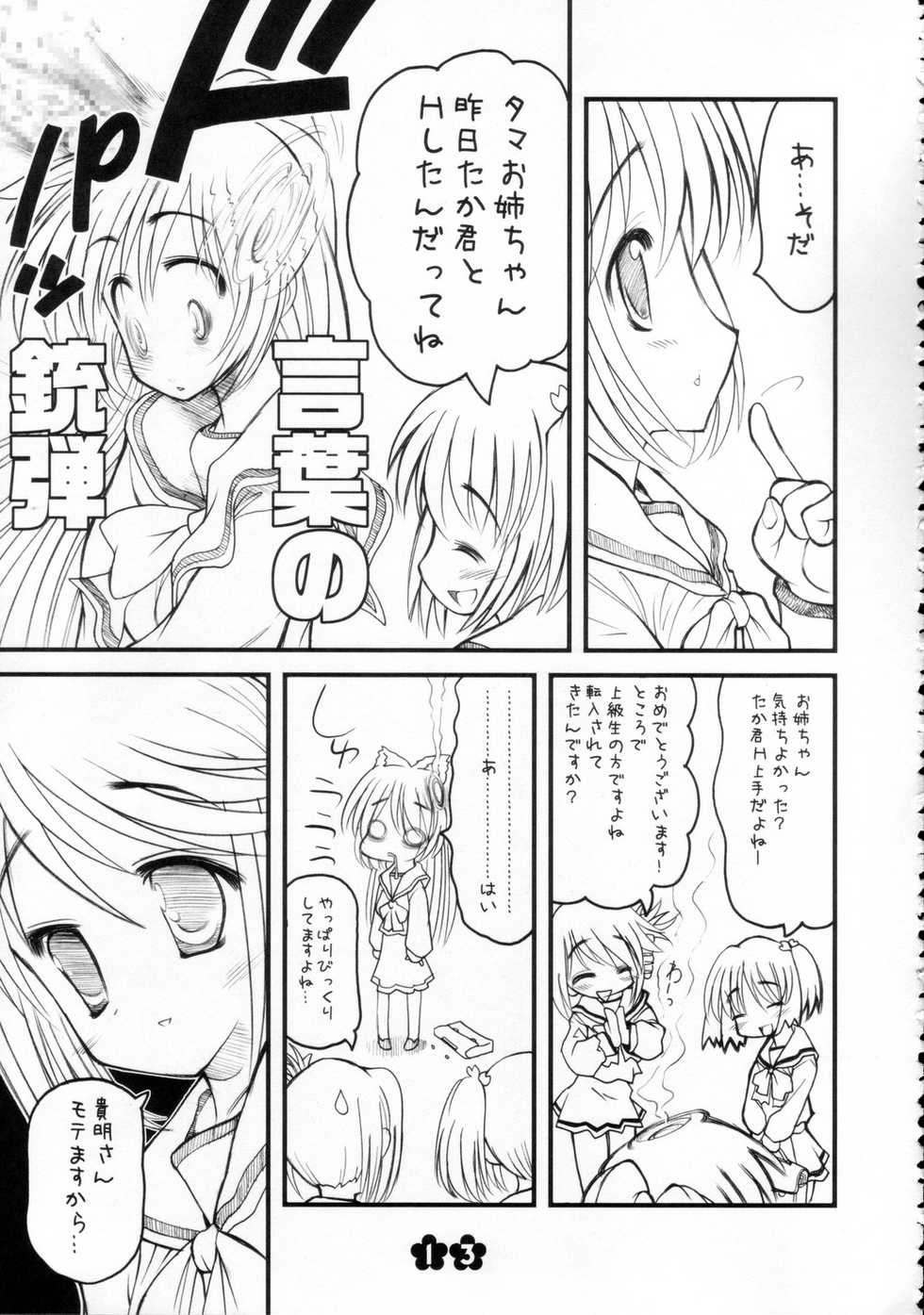 (C68) [STUDIO HUAN (Raidon)] Tama-nee no Kairaku Zenpen (ToHeart 2) - Page 12
