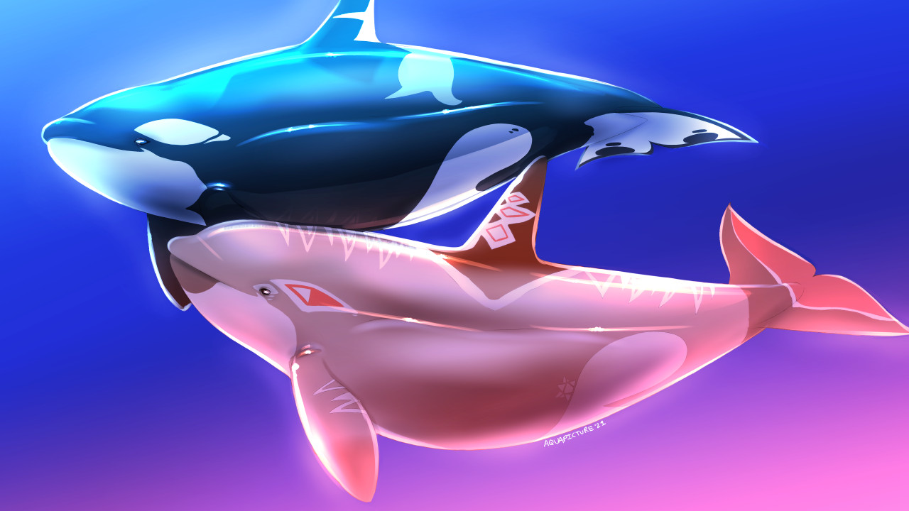 Dolphinproject (furaffinity) - Page 18