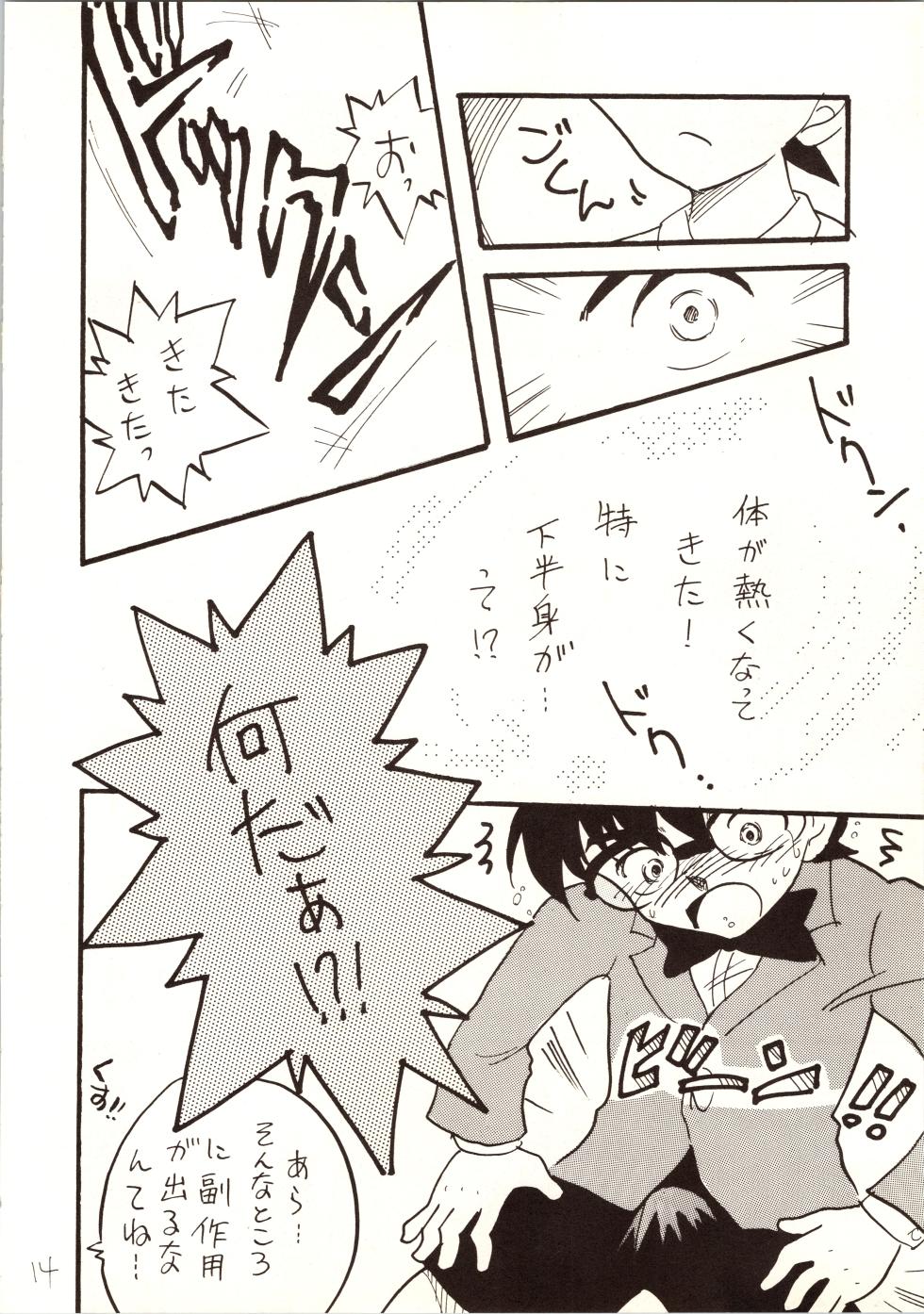 [Ginmomodou (Mita Satomi)] Meitantei DX (Detective Conan) - Page 14