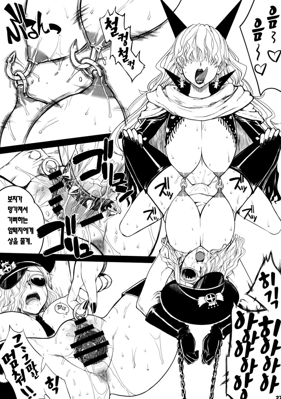 (C76) [Choujikuu Yousai Kachuusha (Denki Shougun)] MEROMERO GIRLS (ONE PIECE) [Korean] [이거맛좀봐] - Page 26