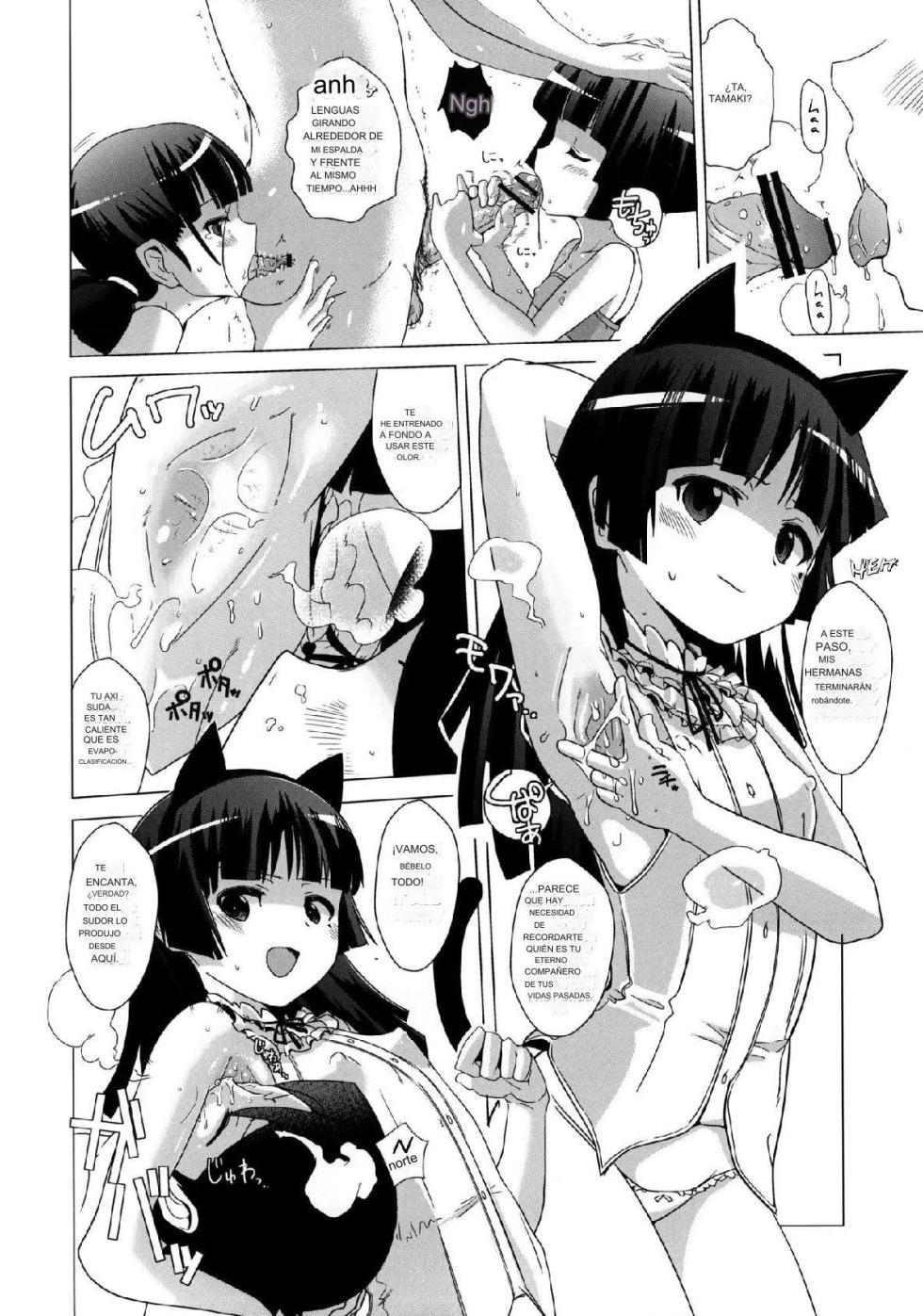 (C81) [Yami ni Ugomeku (Dokurosan)] Kuroneko-tei no Hidoku Yasashii Shimai | Las Hermanas Cruelmente Amables de la Finca Kuroneko (Ore no Imouto ga Konna ni Kawaii Wake ga Nai) [Spanish] - Page 9
